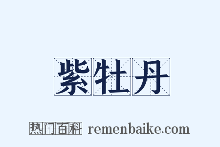 紫牡丹是什么意思的图片